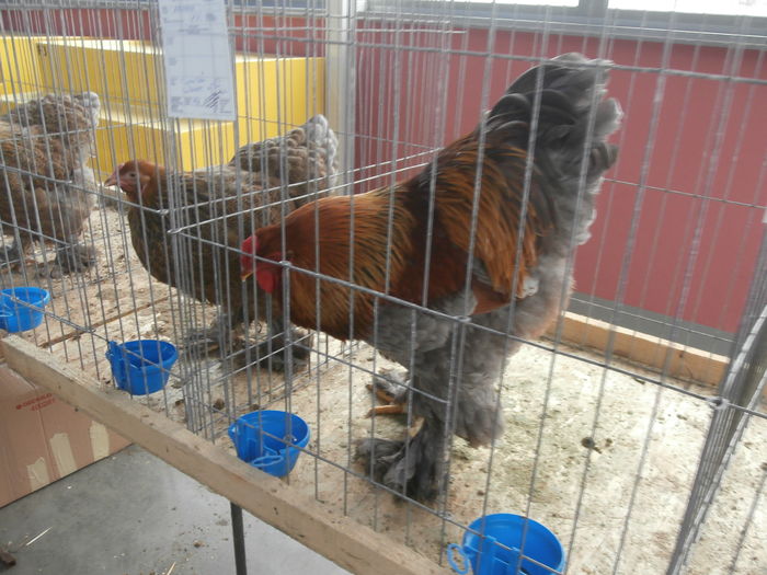 PC050327