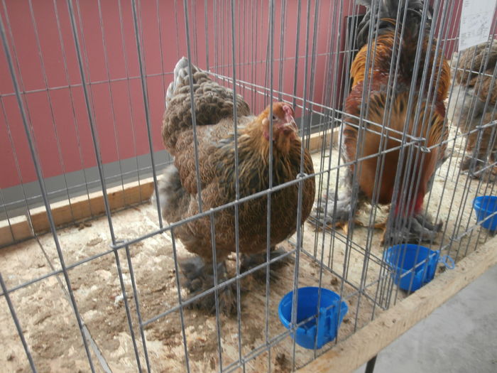 PC050328