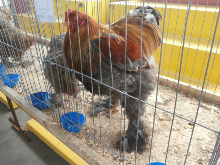 PC050329
