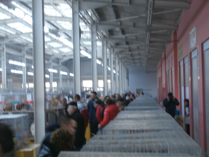 PC050336