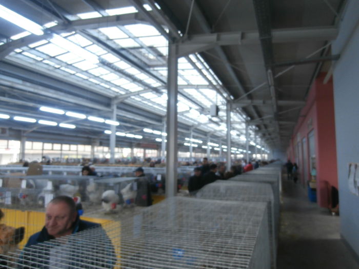 PC050338