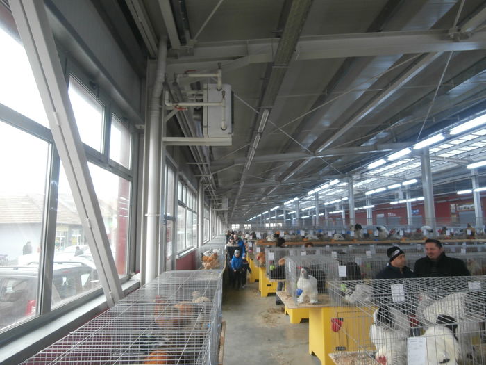 PC050339
