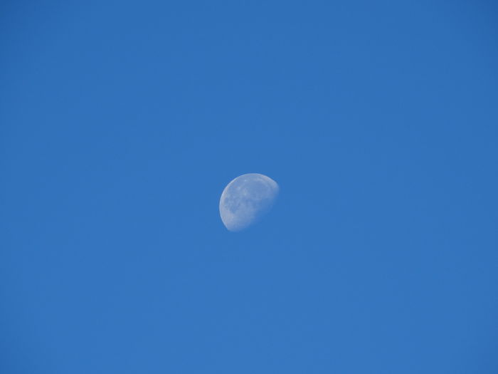 DSC04331 - Diverse fotografii