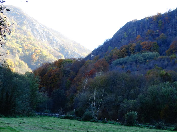 DSC04357 - Diverse fotografii