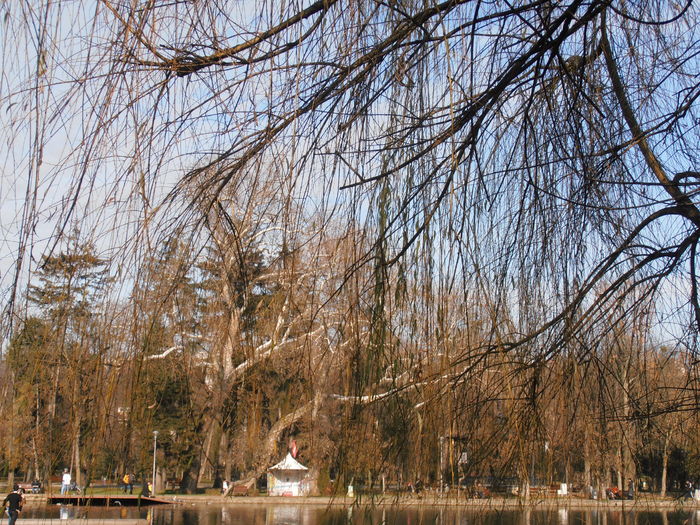 PC050178 - IN PARC