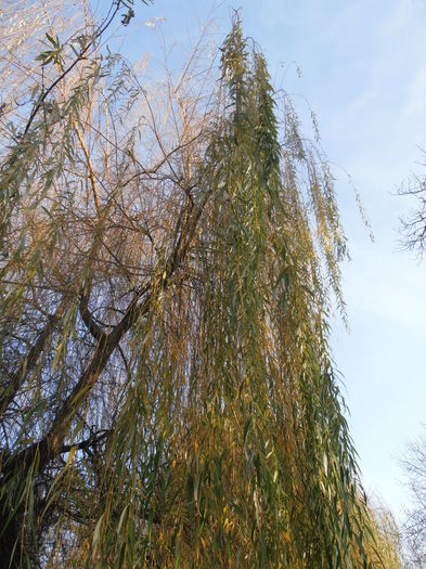 PC050181