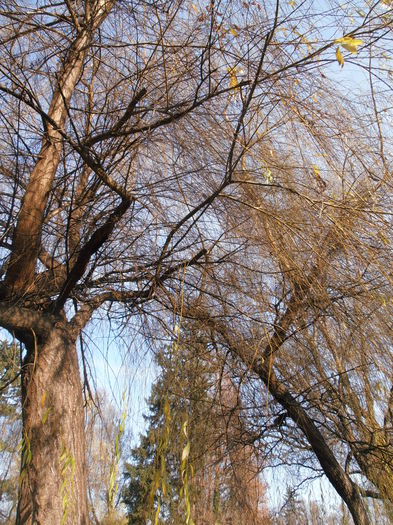 PC050183 - IN PARC