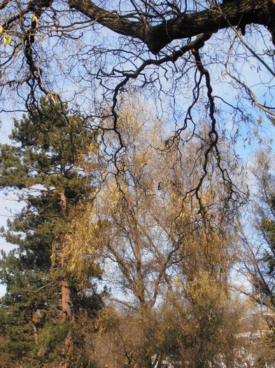 PC050184 - IN PARC