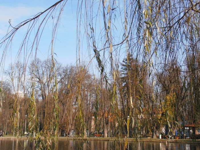 PC050187 - IN PARC