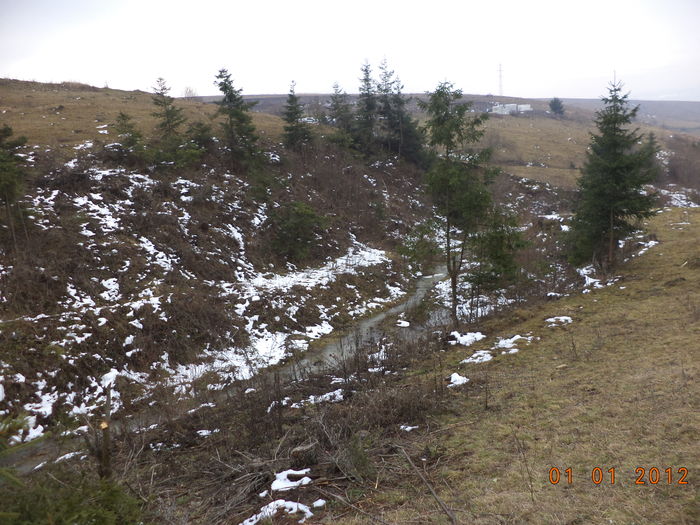 Locuri minunate cu frunze la capre