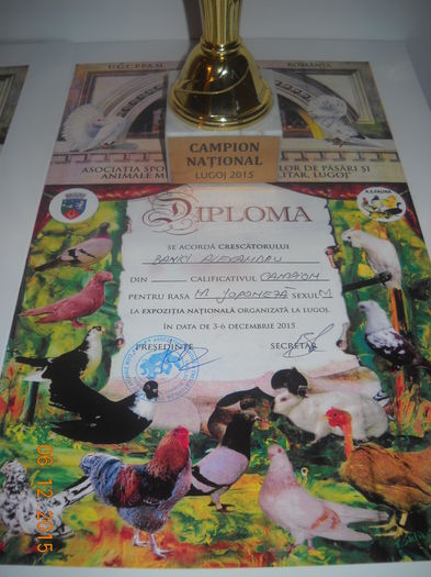 Campion National Lugoj 2015 - DIPLOME SI MEDALII