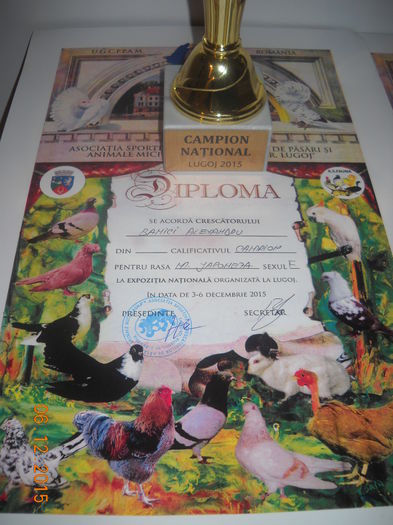 Campion National Lugoj 2015