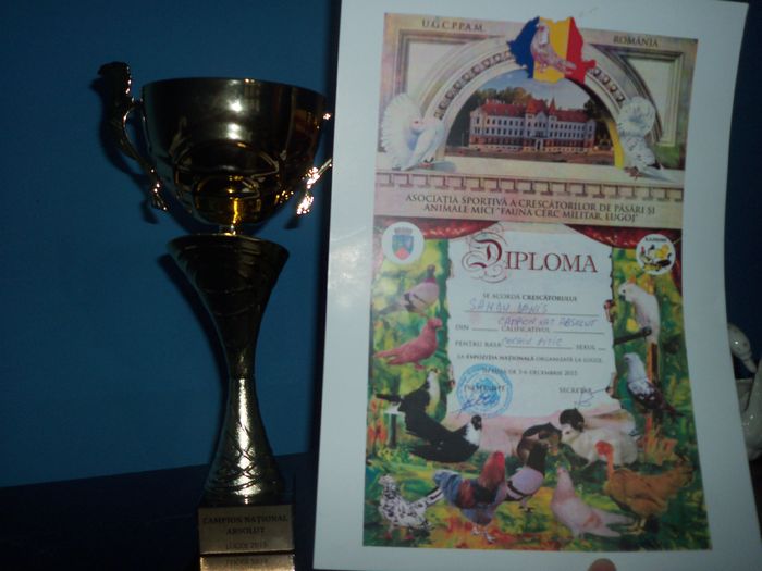 Campion National Absolut Lugoj 2015 - DIPLOME SI CUPE