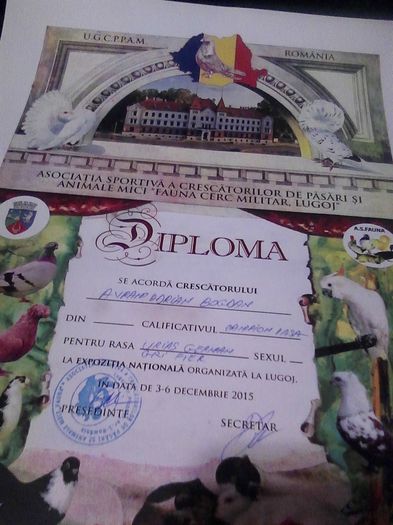 cupa si diploma lugoj 2015 005 - Cupa si diploma Expo Lugoj decembrie2015