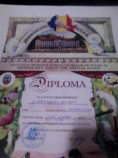 cupa si diploma lugoj 2015 008 - Cupa si diploma Expo Lugoj decembrie2015