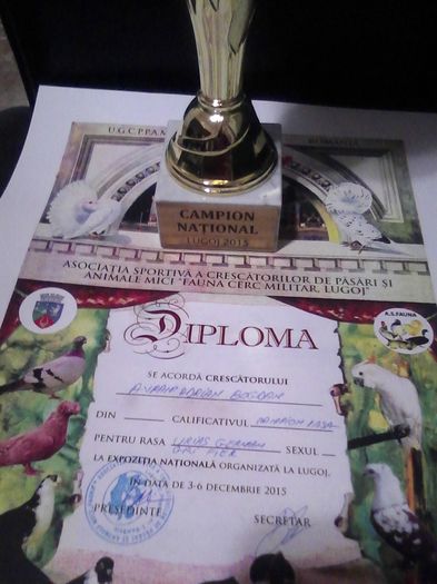 cupa si diploma lugoj 2015 013 - Cupa si diploma Expo Lugoj decembrie2015