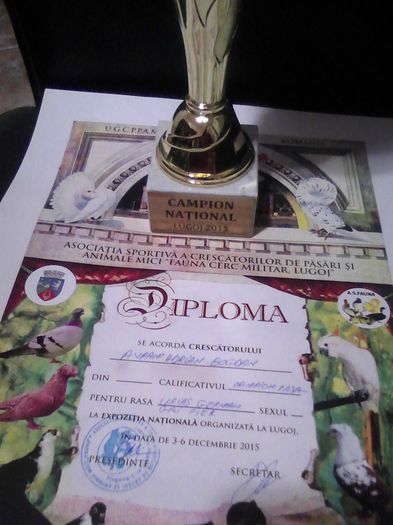 cupa si diploma lugoj 2015 014 - Cupa si diploma Expo Lugoj decembrie2015