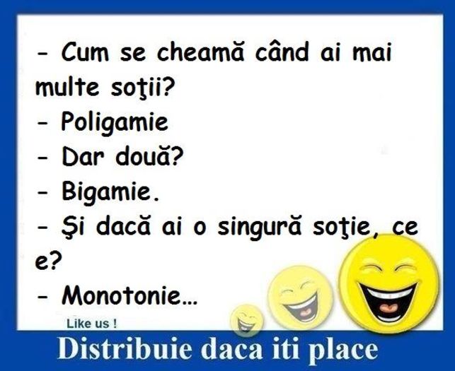 12299356_914048608665701_3966399610199007985_n - Diverse