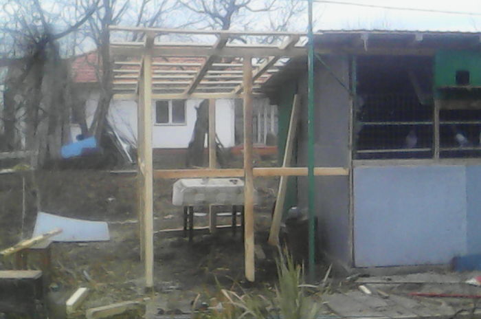 IMG_20151121_154912; ANEXA VOLIERA
