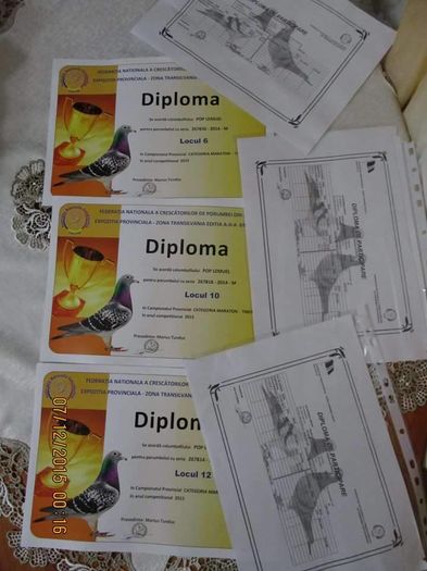 DIPLOME EXPO TRANSILVANIA 2015 - 0 a --REZULTATE 2015--- LOC 1-3-4  JUDET MARATON TINERET SI LOC 6-10-12 TRANSILVANIA MARATON TINERET