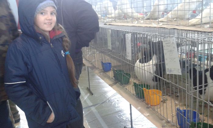 20151205_120142 - Expozitia Nationala Lugoj 2015