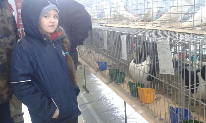 20151205_120145 - Expozitia Nationala Lugoj 2015
