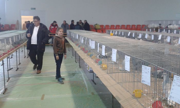 20151205_121900 - Expozitia Nationala Lugoj 2015