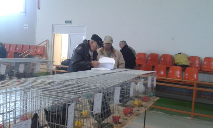 20151205_122621 - Expozitia Nationala Lugoj 2015