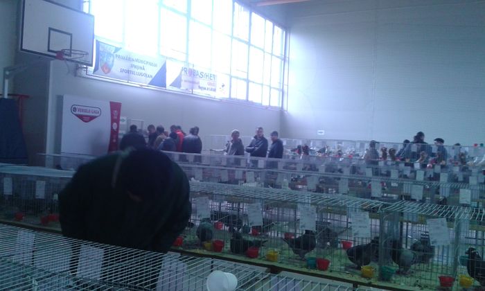 20151205_122650 - Expozitia Nationala Lugoj 2015
