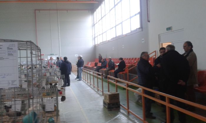 20151205_123143 - Expozitia Nationala Lugoj 2015