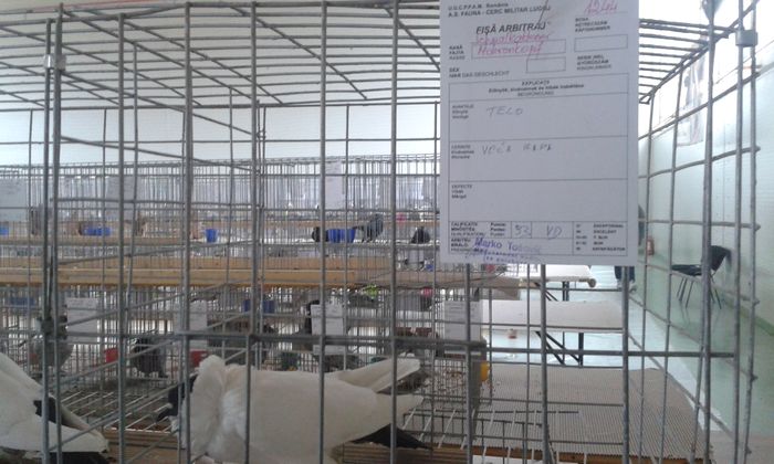 20151205_123449 - Expozitia Nationala Lugoj 2015