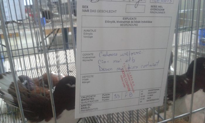 20151205_125247 - Expozitia Nationala Lugoj 2015