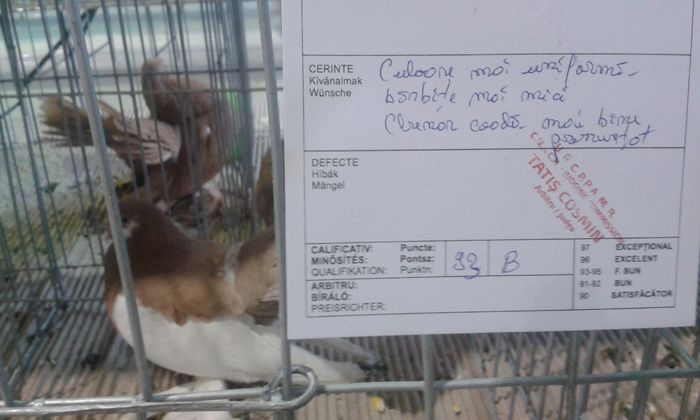 20151205_134503 - Expozitia Nationala Lugoj 2015