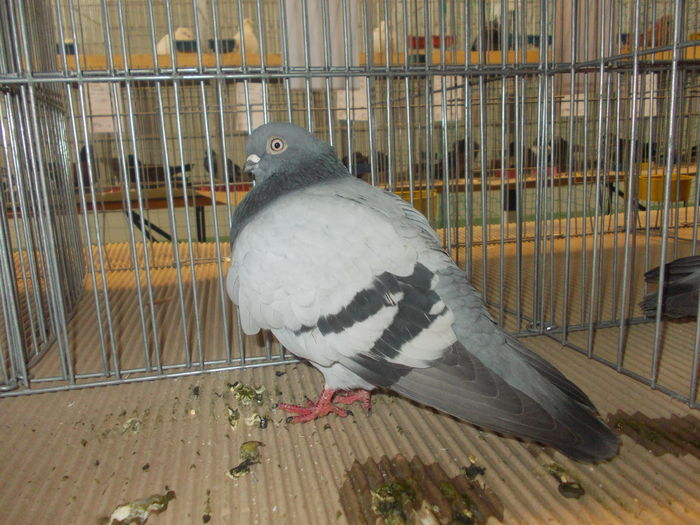 DSCN0074