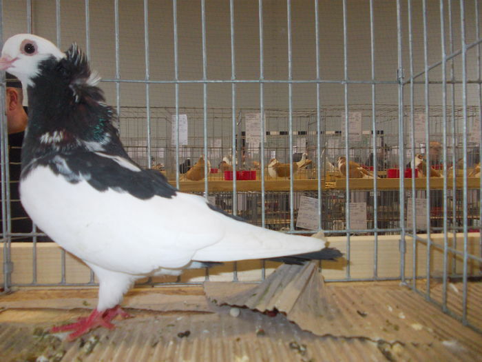 DSCN0087