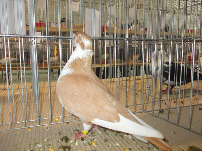 DSCN0120
