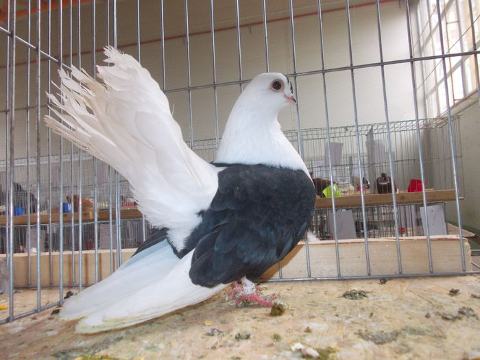 DSCN0149