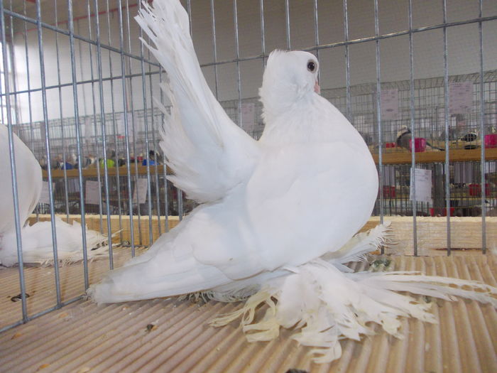 DSCN0158