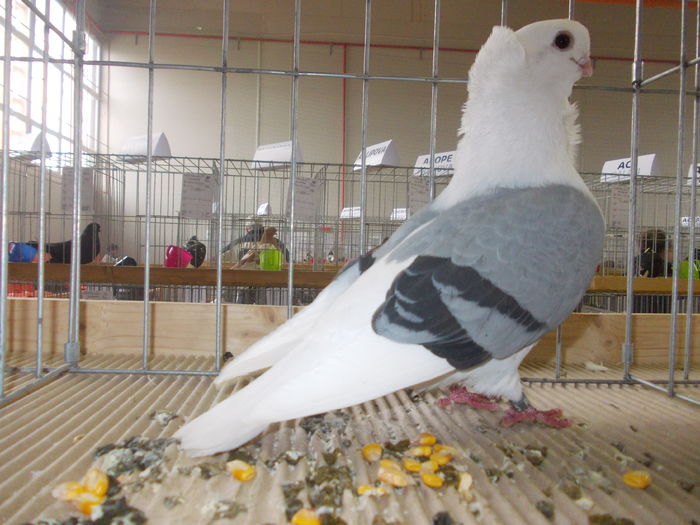 DSCN0161