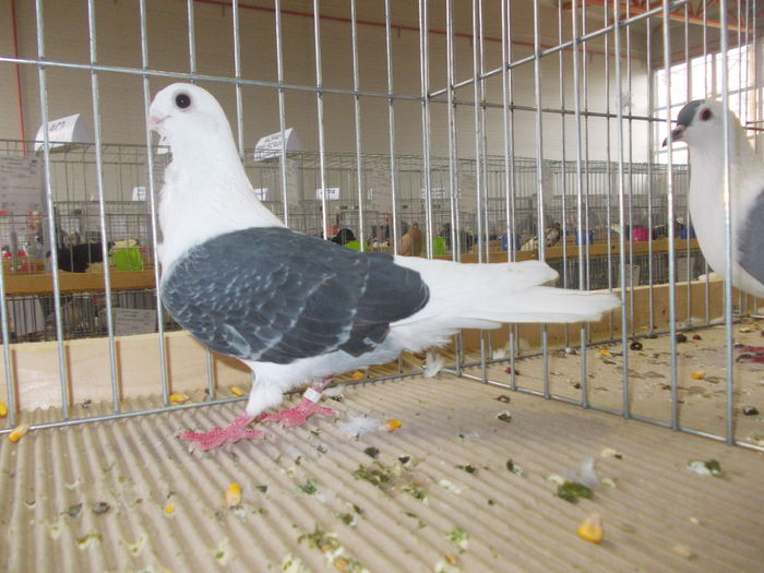 DSCN0167