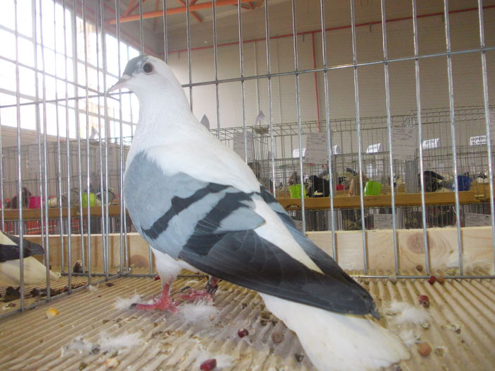 DSCN0170