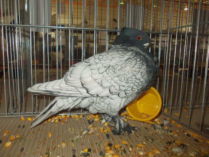 DSCN0193