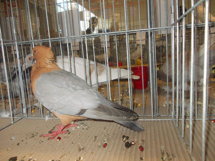 DSCN0198