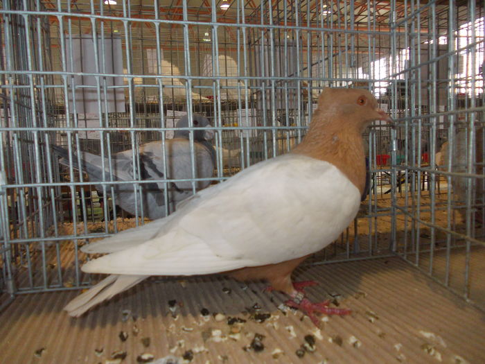 DSCN0203