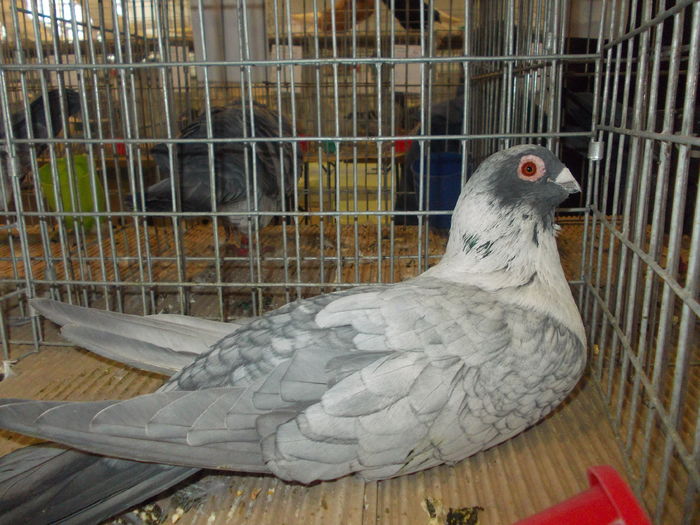 DSCN0205