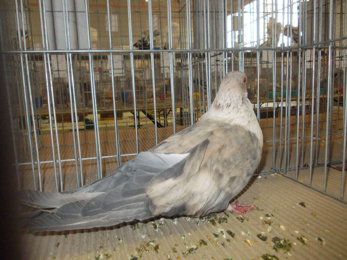 DSCN0211