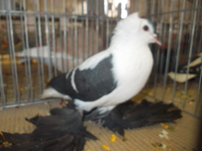 DSCN0215