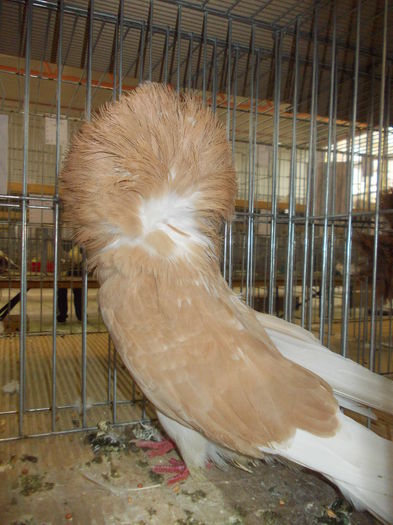 DSCN0271