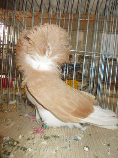 DSCN0272