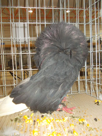 DSCN0274